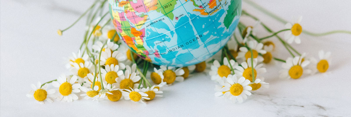 eco_header